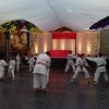 journeedelaculturechinoise2015